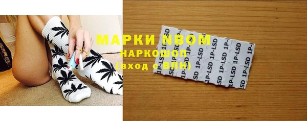 спиды Бородино