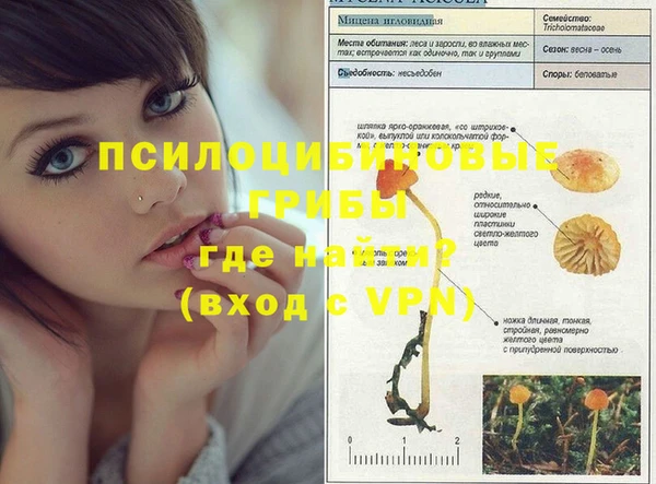 спиды Бородино