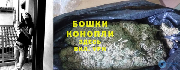 спиды Бородино