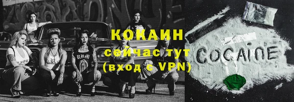 спиды Бородино