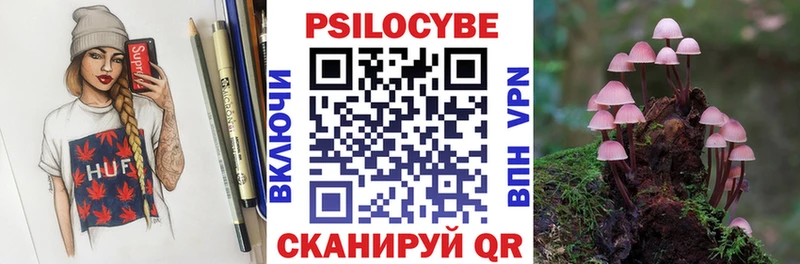 Галлюциногенные грибы Cubensis  Кондрово 